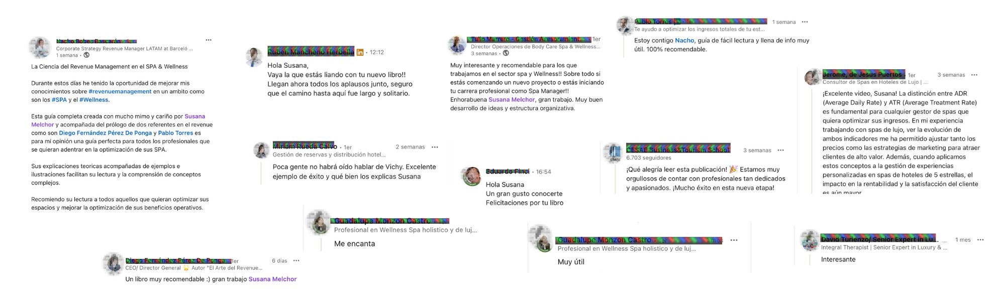 optispa-testimonios-spa-revenue